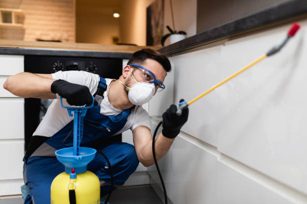 Best Rat Extermination Near Me  in Gosport, IN