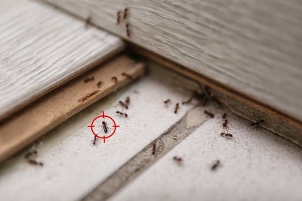 Best Wildlife Control Services  in Gosport, IN