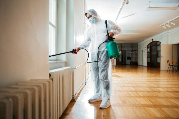Best Termite Control Services  in Gosport, IN